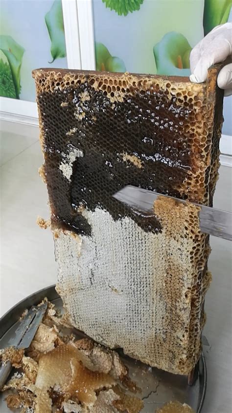 如何 判斷 蜂蜜 過期
